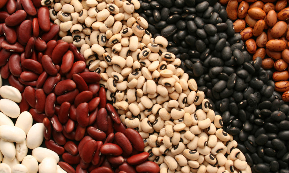 Protein-Rich Food: The 10 Tastiest, Highest-Protein Sources