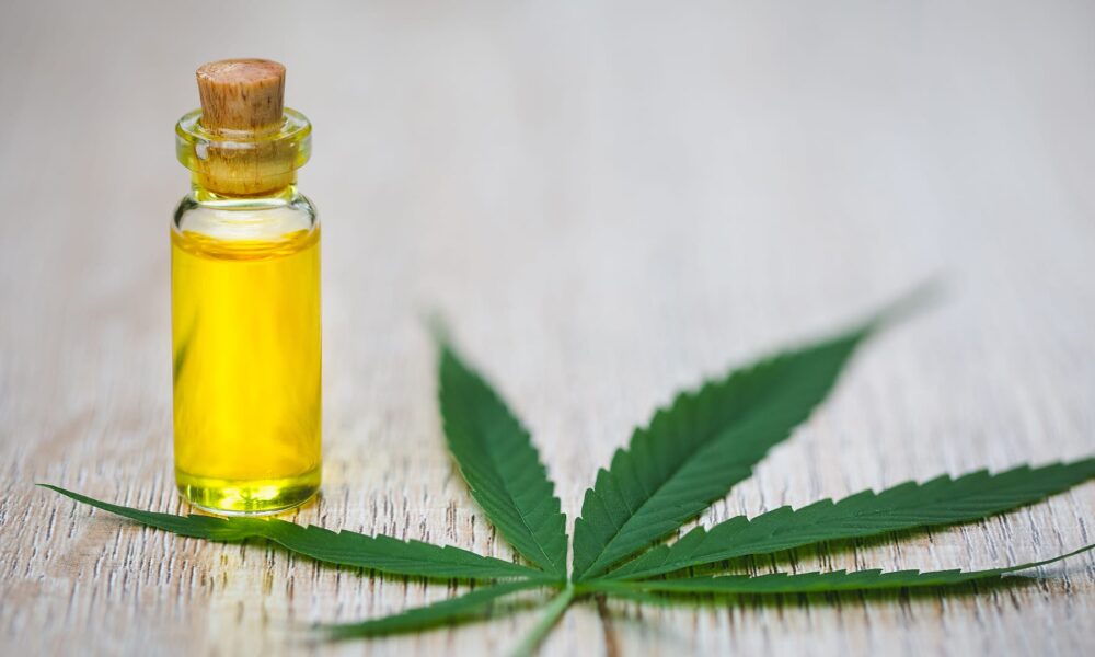 Beginners Guide To Cooking Dinner With CBD Oil