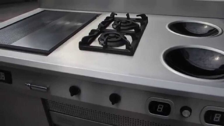 Commercial Induction Cookers are great for Business Or Home Kitchens
