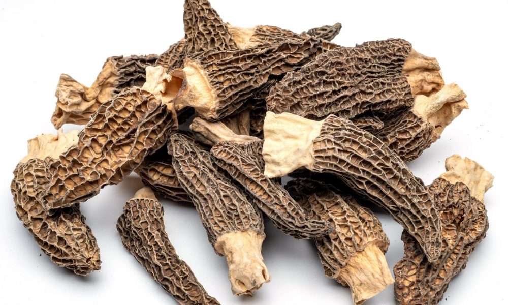 Why Mushrooms Are a Superfood