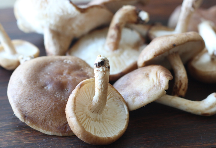 Start Your Morning Right with a Mushroom Latte