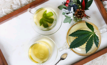 Cannabis