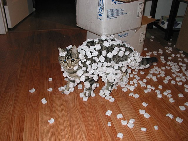 Cat Ate Styrofoam: Is Styrofoam Safe for Cats?