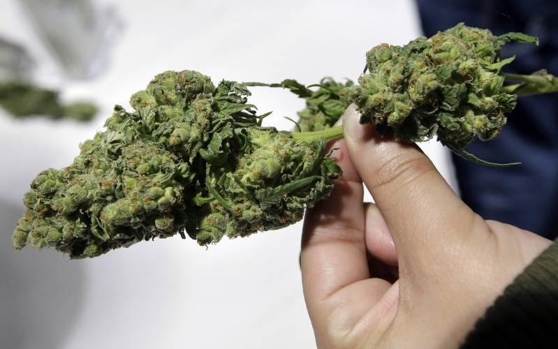 Marijuana TasteMade: Tasty Cannabis Edibles That You Can Make At Home