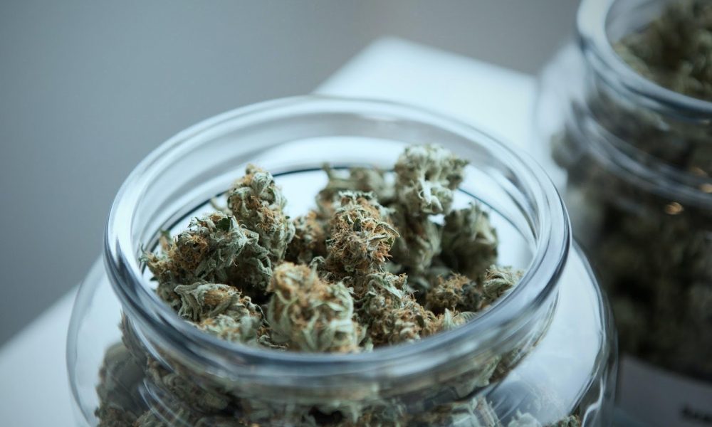A Comprehensive Guide on CBD Gummies