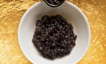 beluga caviar
