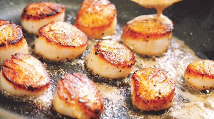 Scallops recipes and importance